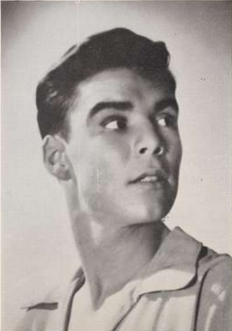 Ritratto di Jacques d'Amboise